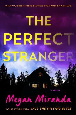 the-perfectstranger
