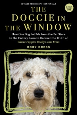 TheDoggieintheWindow